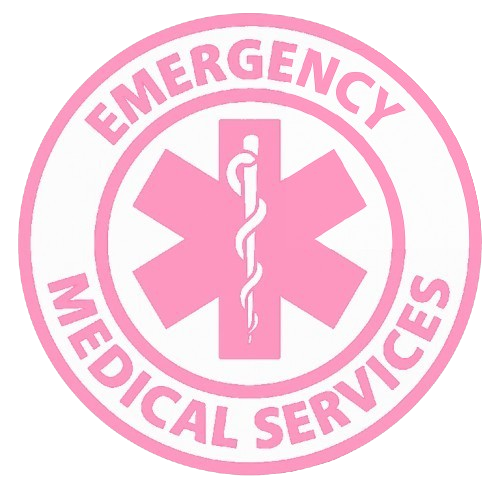 ems-logo-pink.png